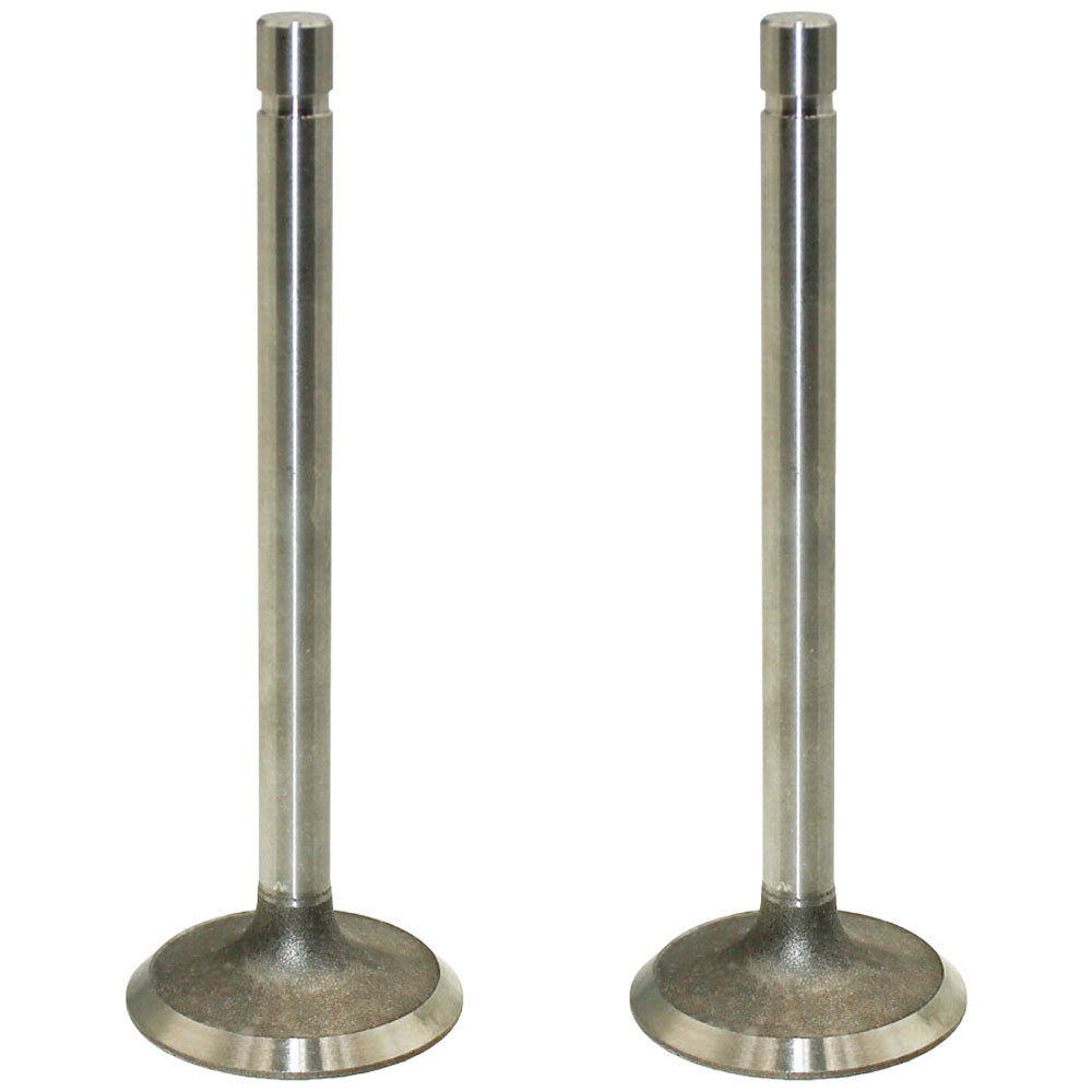 Qty 2: Standard Intake Valve  Fits John Deere Replaces R52251