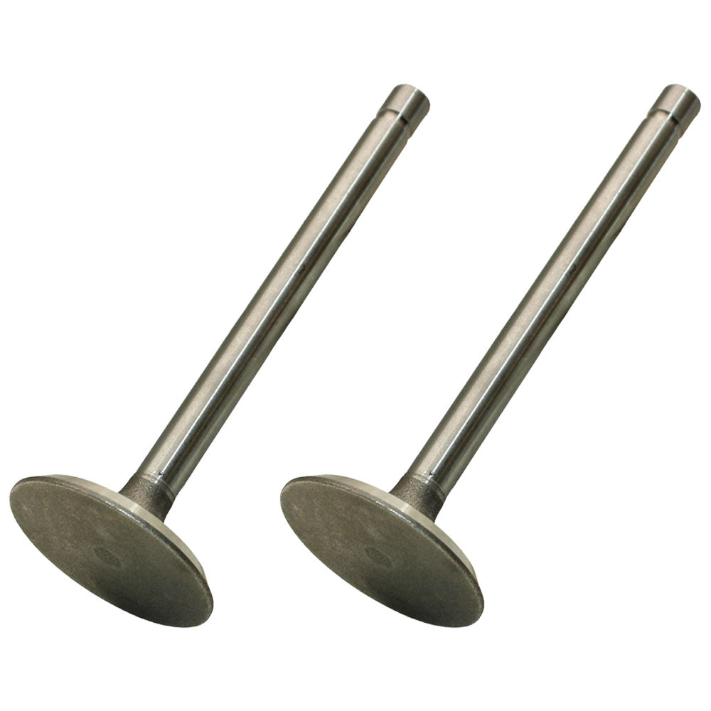 Qty 2: Standard Intake Valve  Fits John Deere Replaces R52251