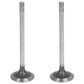 Qty 2: Standard Exhaust Valve Fits John Deere Replaces R90692