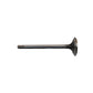R97492-AIC Exhaust Valve