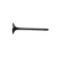 R97492-AIC Exhaust Valve