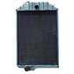 RE21897 - Radiator
