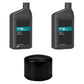 AM119567 Oil Filter & (2) Quarts of 4-Cyl. Engine Oil Fits John Deere 3025E