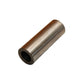 T21669-AIC Front Pivot Pin