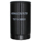 Hydraulic Filter Fits Kioti Replaces T4620-38031