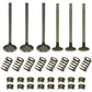 C5NN6507B 70209103 C7NN6505E Valve Overhaul Kit Fits Ford/New Holland 4630 4610