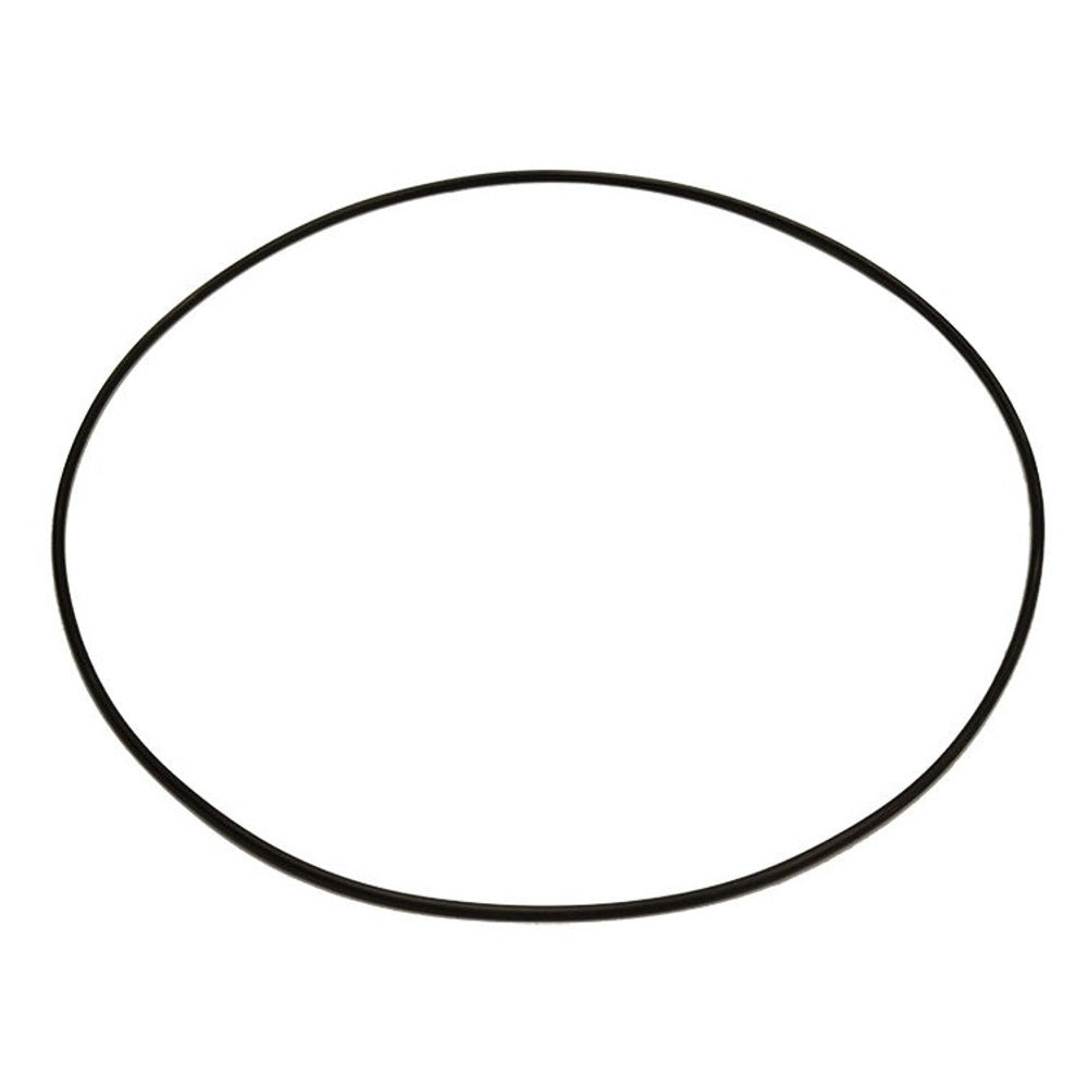 100552A1-AIC O-Ring
