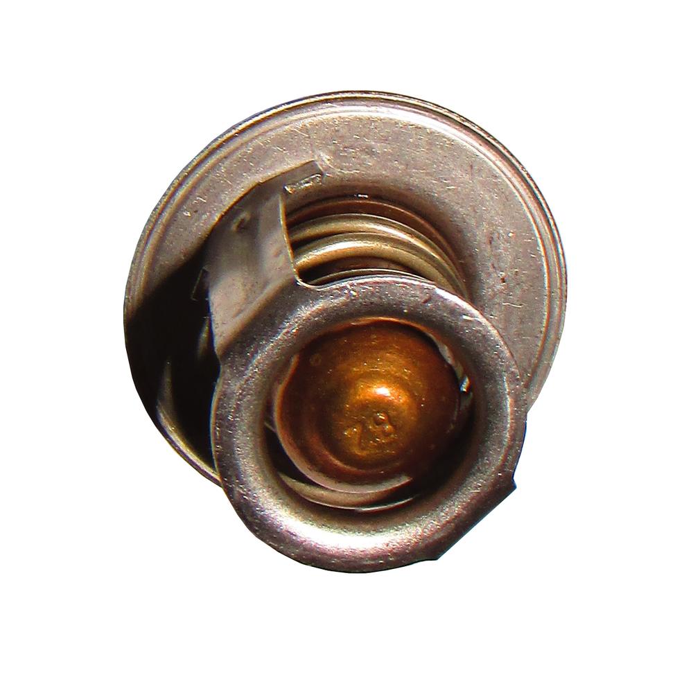 15531-73010-AIC Thermostat
