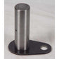 225775A1-AIC Pin(s)