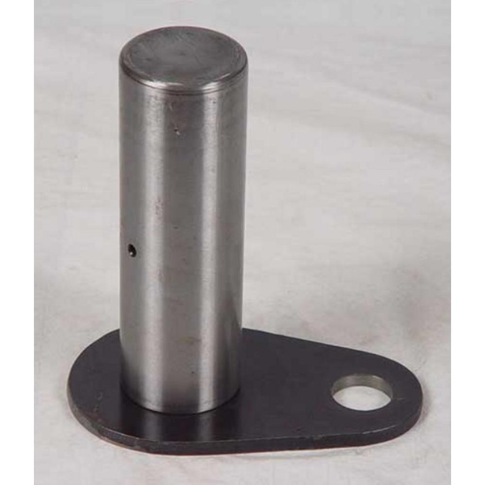 225775A1-AIC Pin(s)