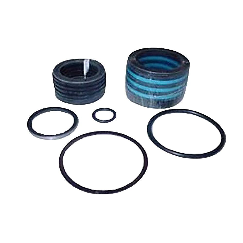 251164-AIC Hydraulic Cylinder Seal Kit