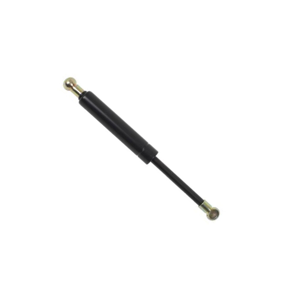 3902121M4-AIC Door Gas Strut