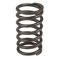 70206879-AIC Valve Spring