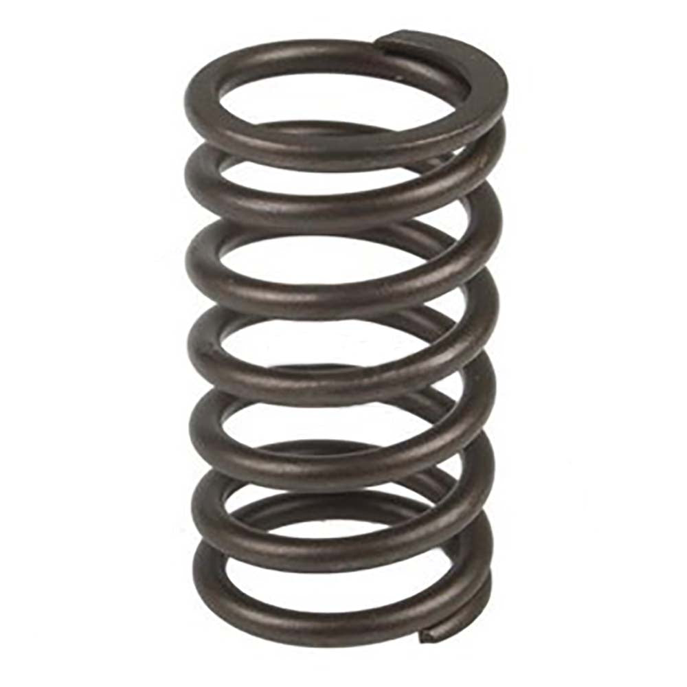 70206879-AIC Valve Spring