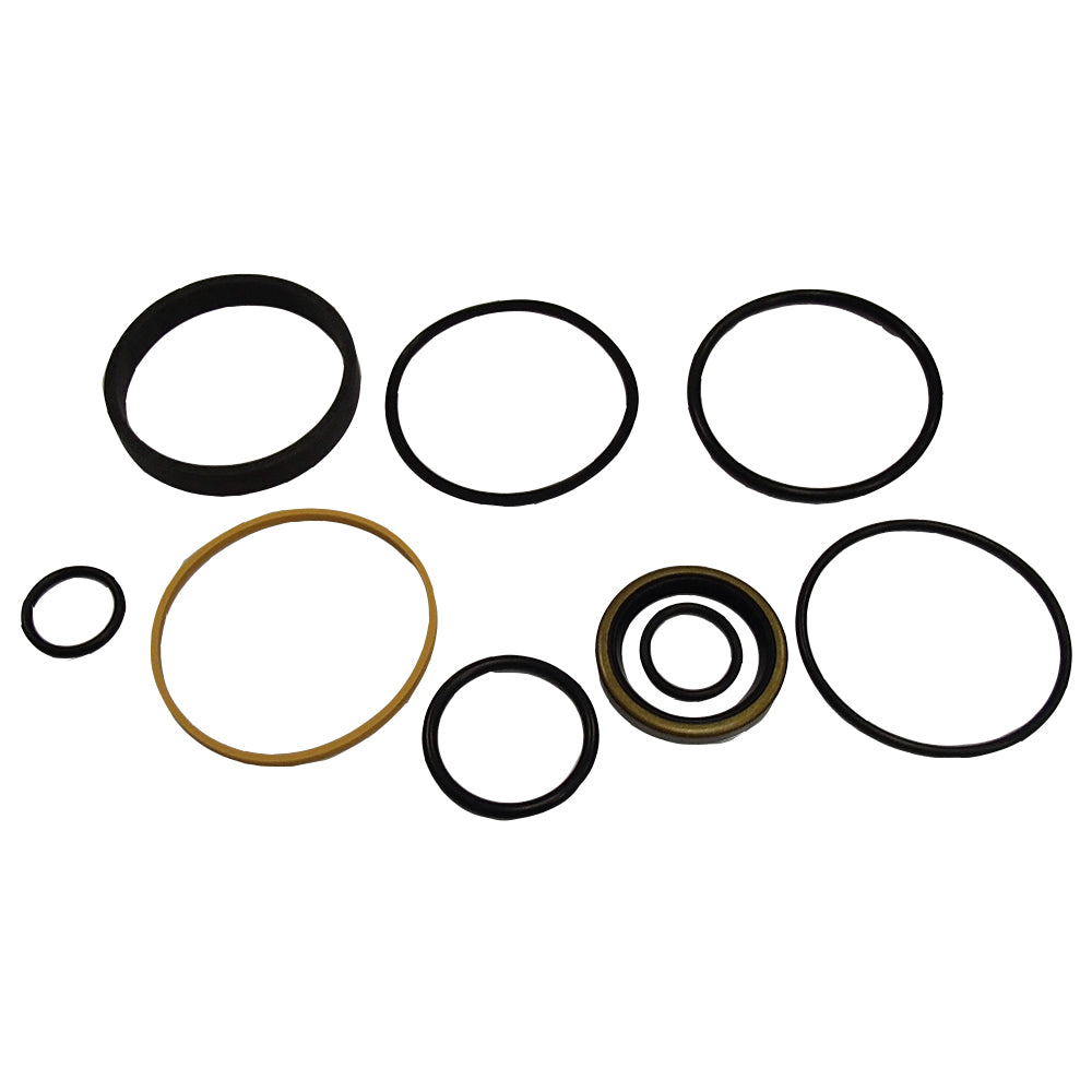 836173M91-AIC Cylinder Seal Kit