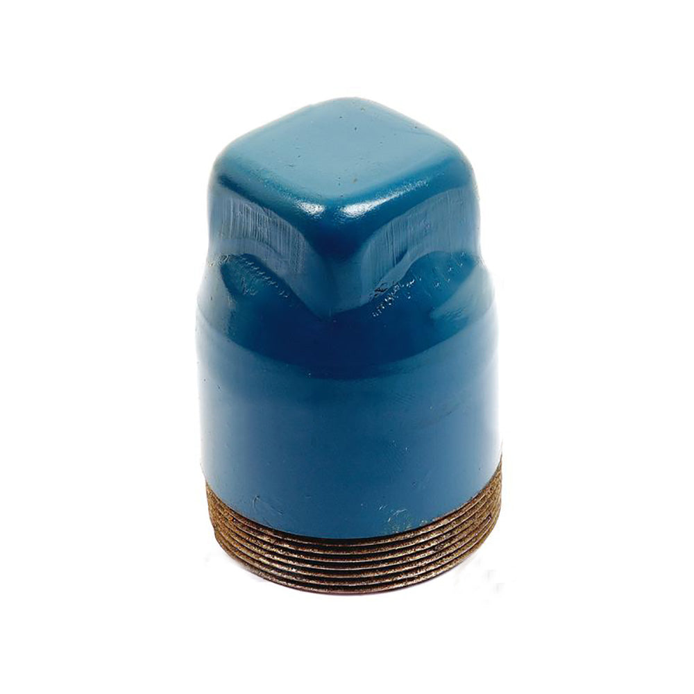 CLO70-0097-AIC PTO Cover Cap