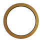 CLU40-0044-AIC Planetary Brake Disc