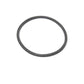 D50077-AIC Lathe Cut Seal
