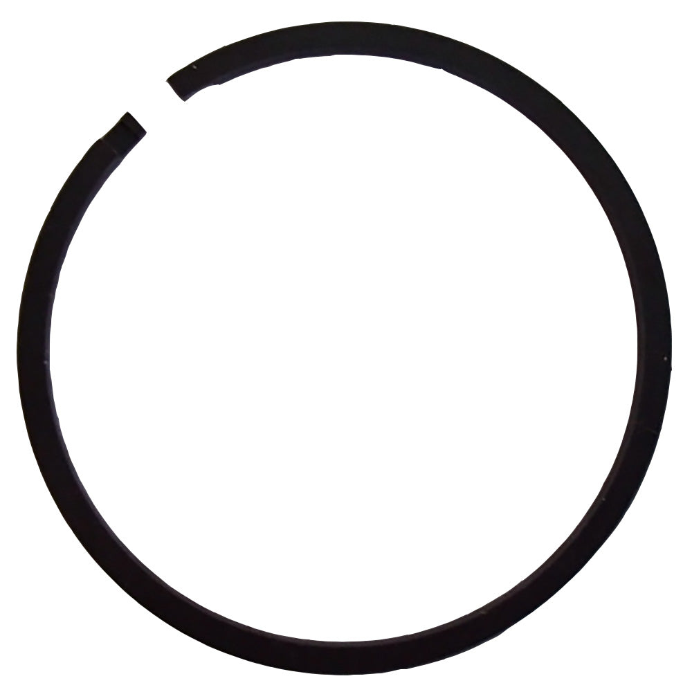 D50080-AIC Seal Ring