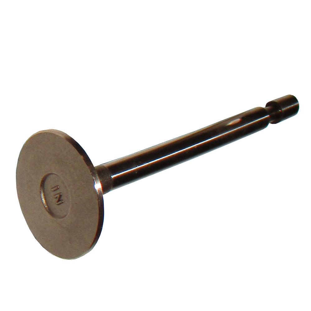ENE10-0117-AIC Intake Valve