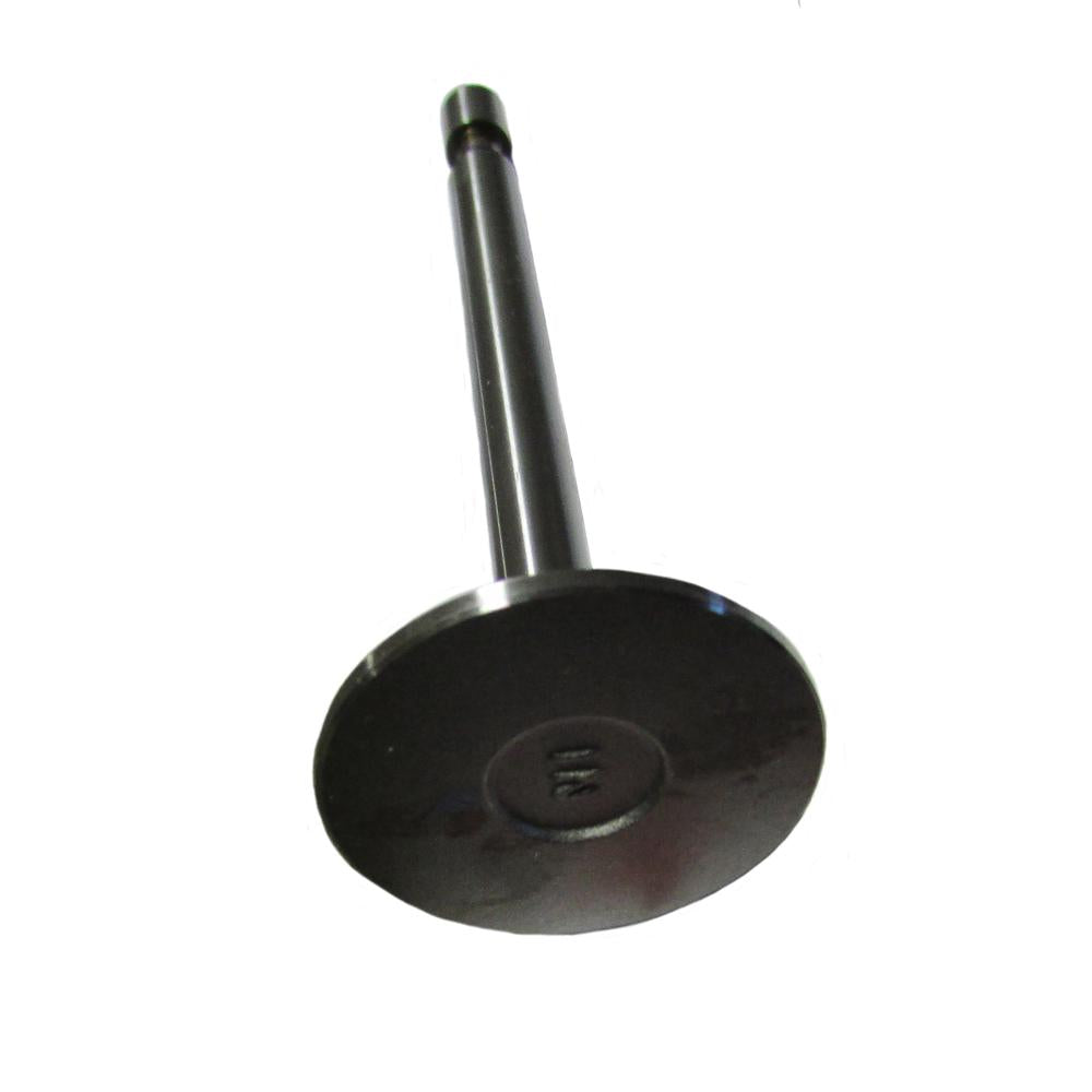 ENE10-0117-AIC Intake Valve