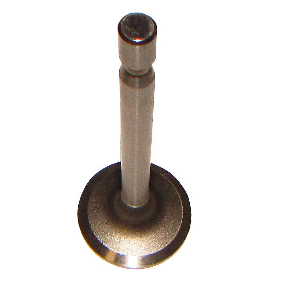 ENE10-0117-AIC Intake Valve