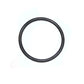 FSH10-0028-AIC O-Ring Seal