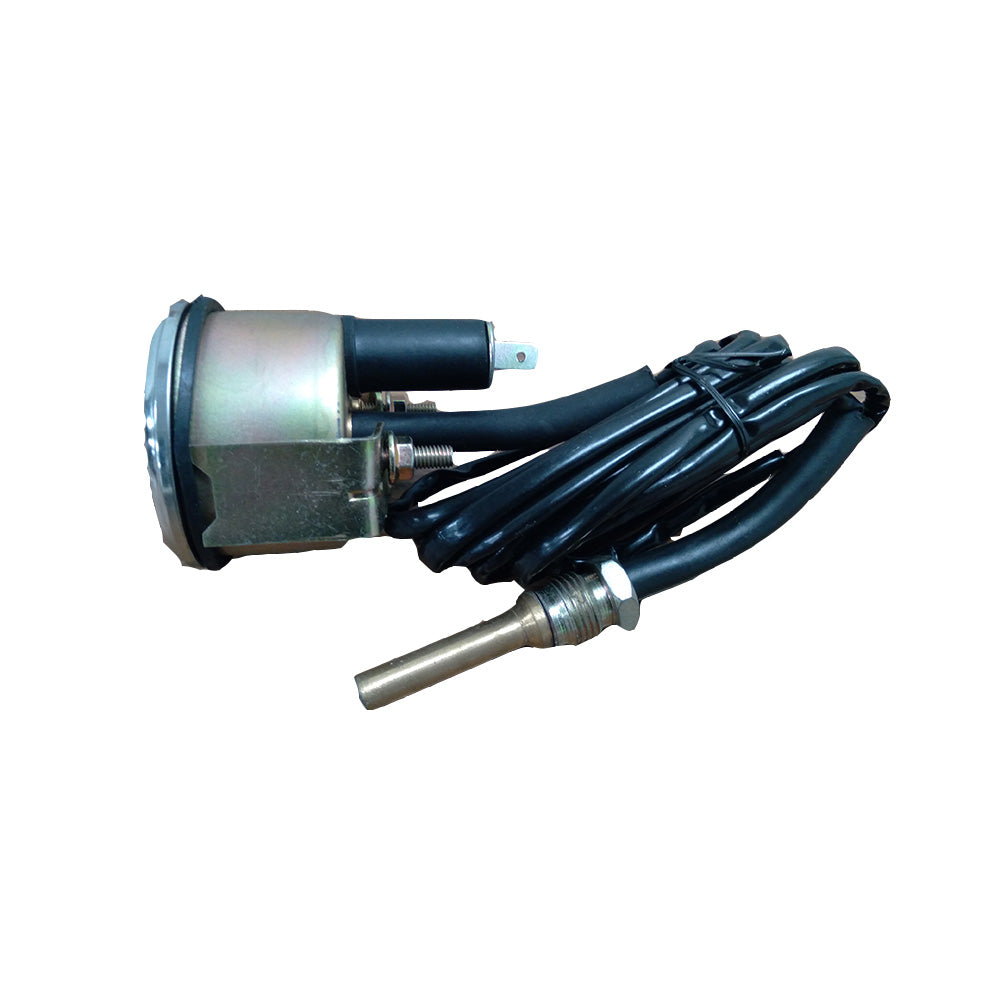 RAP30000555-AIC Numeric Temperature Gauge