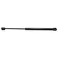 RE234166-AIC Gas Strut