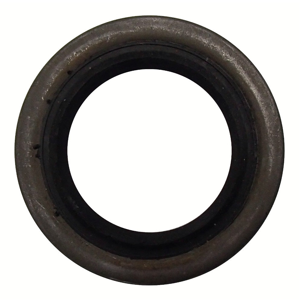 WHB10-0016-AIC Seal, Trailer Hub Axle Grease