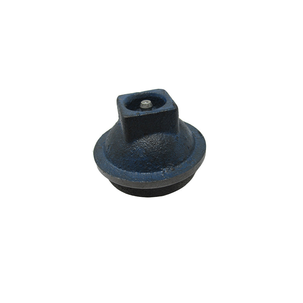 WHI30-0005-AIC Hub Cap Kit